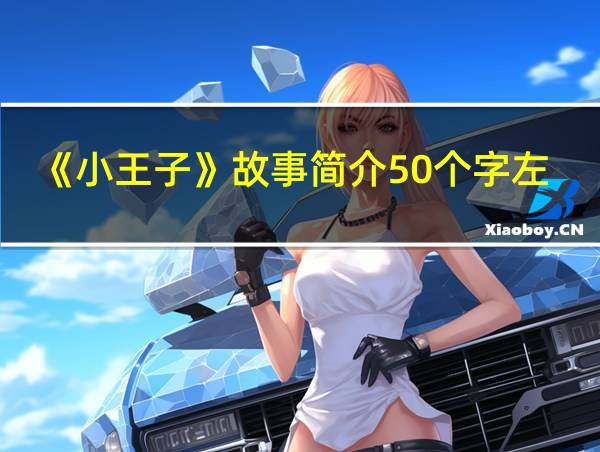 《小王子》故事简介50个字左右的相关图片