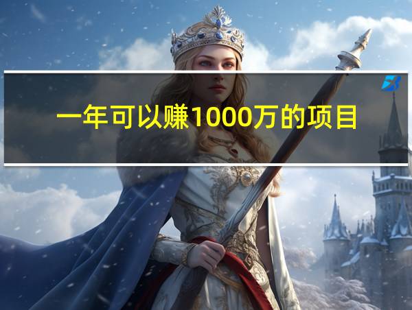 一年可以赚1000万的项目的相关图片