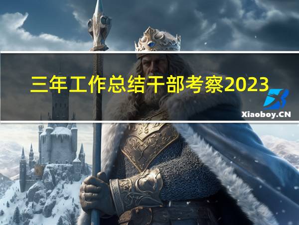 三年工作总结干部考察2023的相关图片