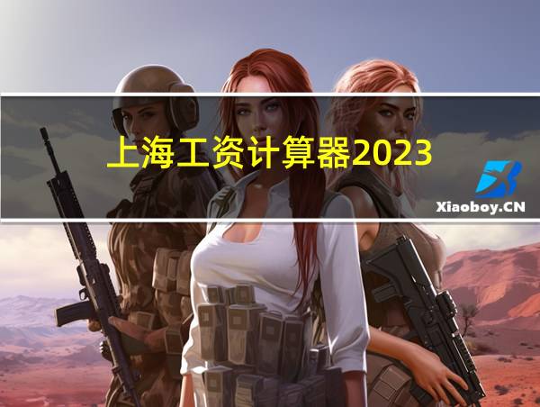 上海工资计算器2023的相关图片