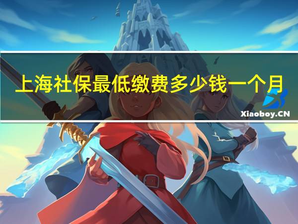 上海社保最低缴费多少钱一个月的相关图片