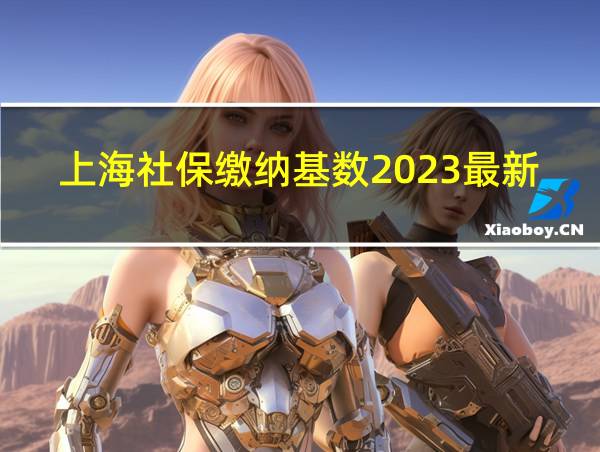 上海社保缴纳基数2023最新的相关图片