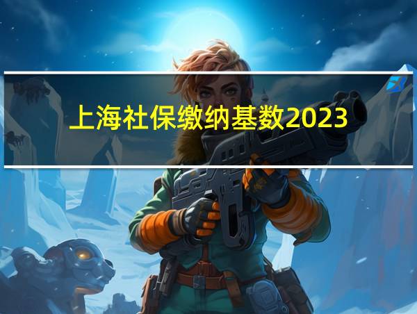 上海社保缴纳基数2023的相关图片