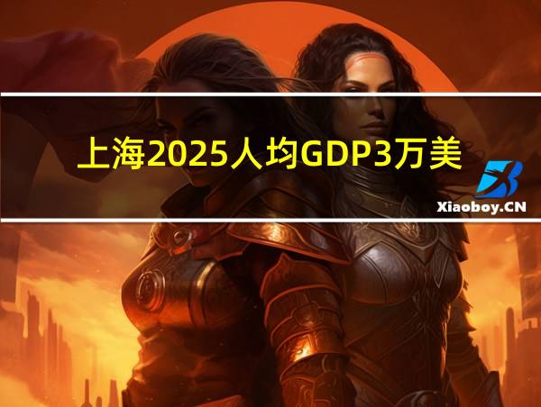 上海2025人均GDP3万美元的相关图片