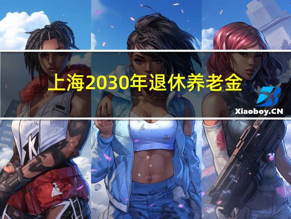 上海2030年退休养老金的相关图片