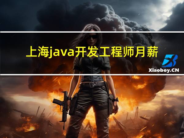 上海java开发工程师月薪的相关图片