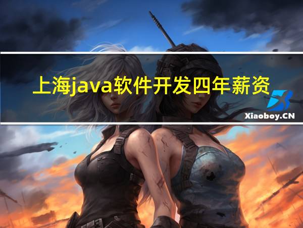 上海java软件开发四年薪资待遇的相关图片