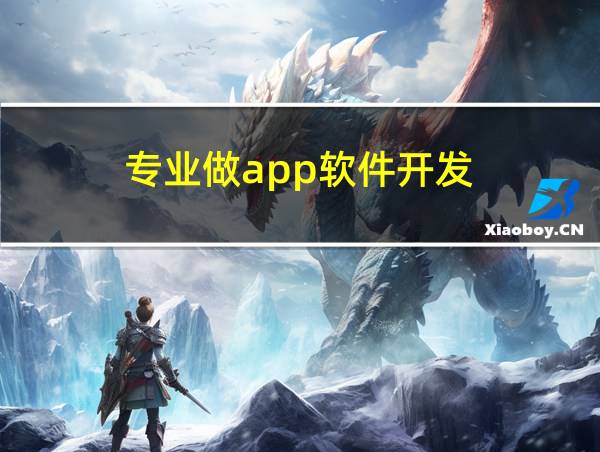 专业做app软件开发的相关图片