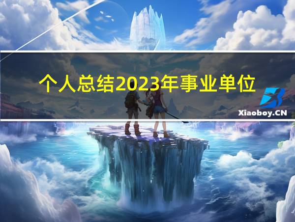 个人总结2023年事业单位的相关图片