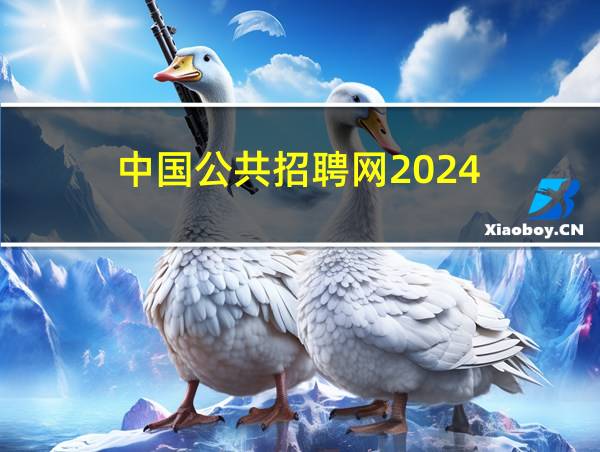 中国公共招聘网2024的相关图片