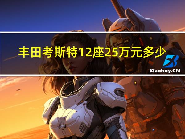 丰田考斯特12座25万元多少钱的相关图片