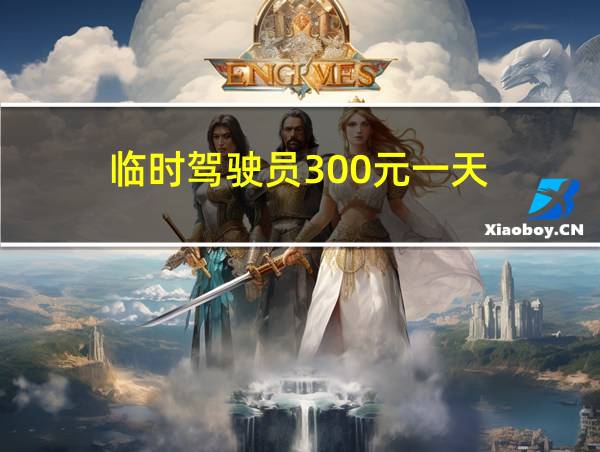 临时驾驶员300元一天的相关图片