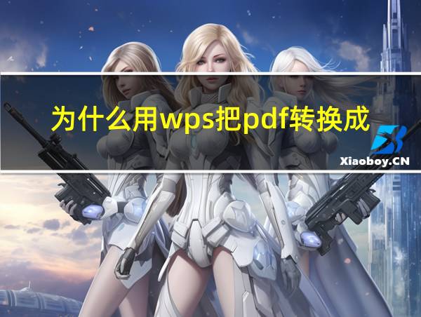 为什么用wps把pdf转换成word是乱码的相关图片