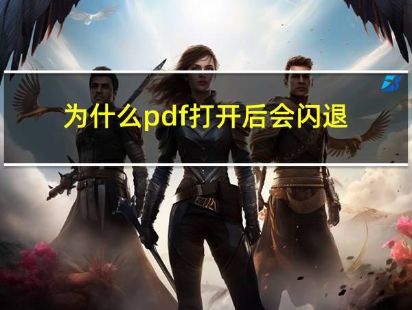 为什么pdf打开后会闪退的相关图片