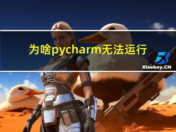 为啥pycharm无法运行的相关图片