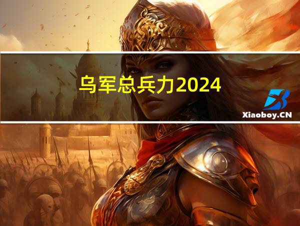 乌军总兵力2024的相关图片