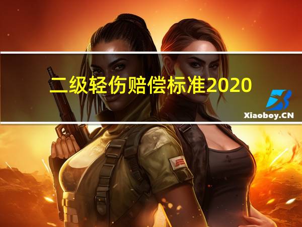 二级轻伤赔偿标准2020的相关图片