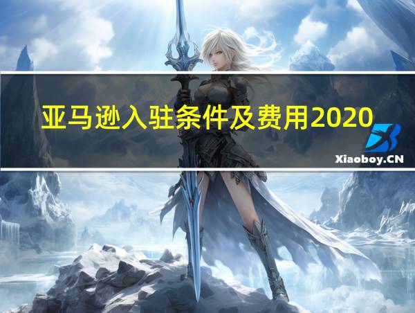 亚马逊入驻条件及费用2020的相关图片