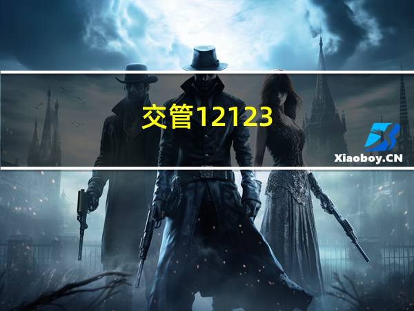 交管12123的相关图片