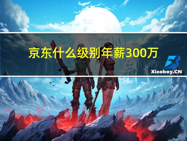 京东什么级别年薪300万的相关图片