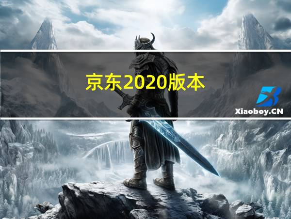 京东2020版本的相关图片