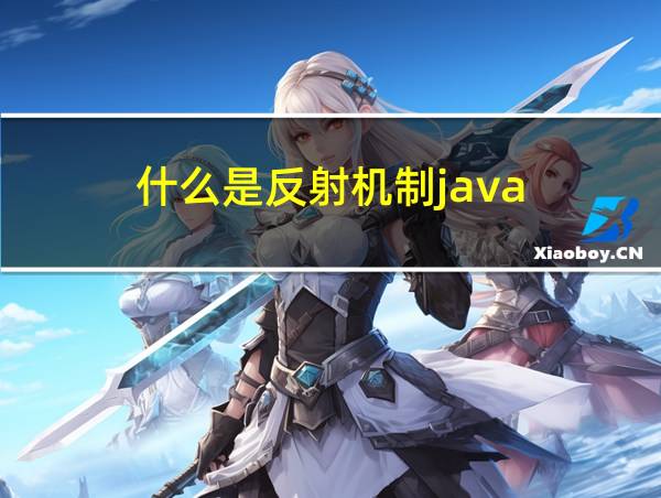 什么是反射机制java的相关图片