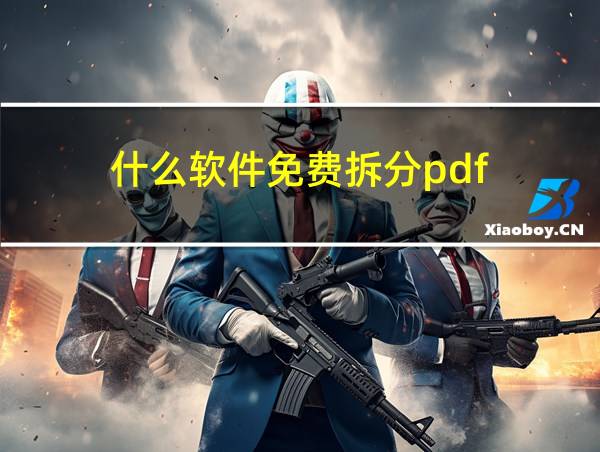 什么软件免费拆分pdf的相关图片