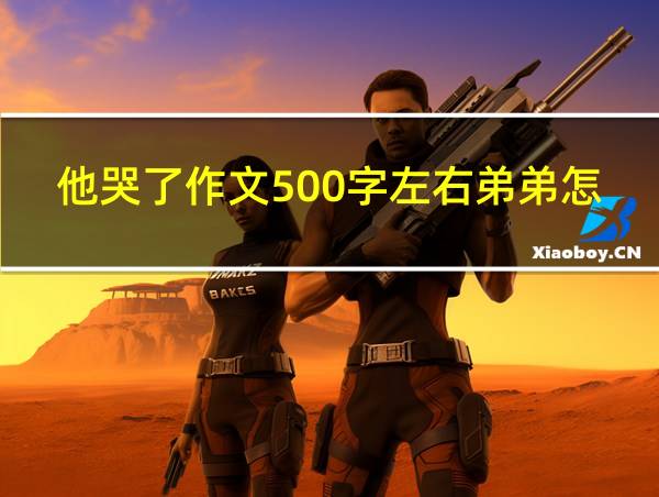 他哭了作文500字左右弟弟怎么写的相关图片