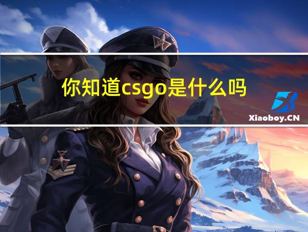 你知道csgo是什么吗的相关图片