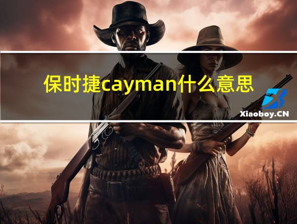 保时捷cayman什么意思的相关图片