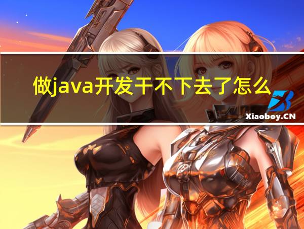 做java开发干不下去了怎么办的相关图片