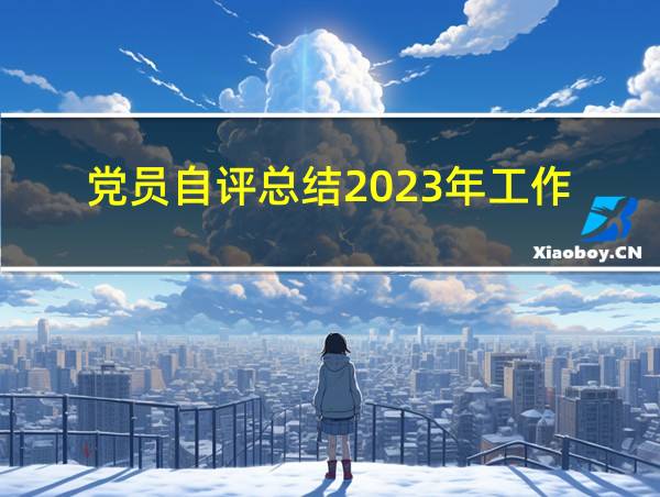 党员自评总结2023年工作的相关图片