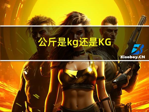 公斤是kg还是KG的相关图片