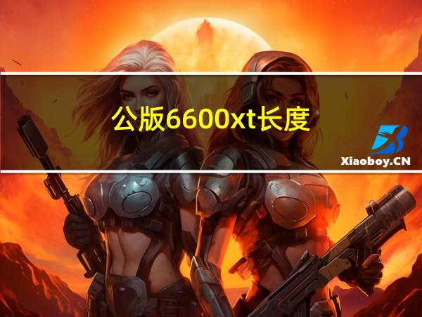 公版6600xt长度的相关图片