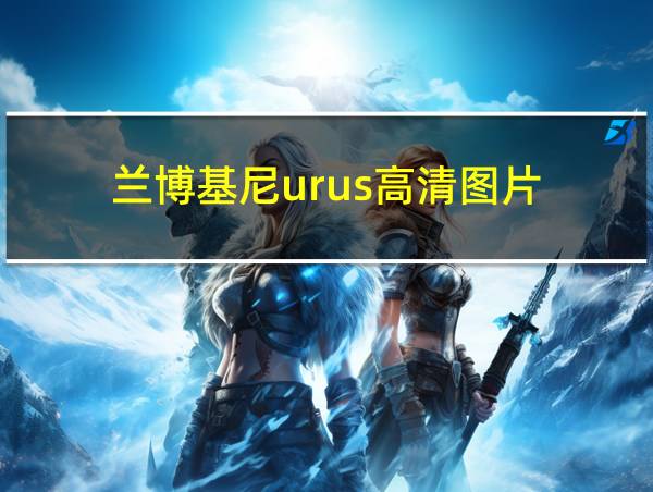 兰博基尼urus高清图片的相关图片