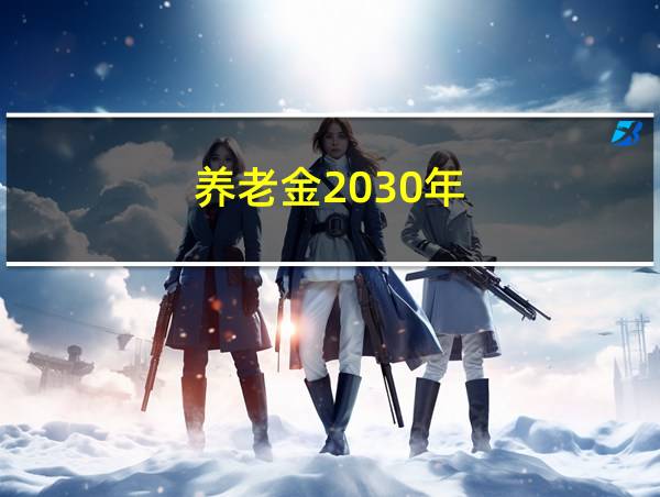 养老金2030年的相关图片