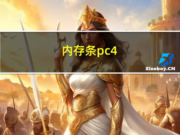 内存条pc4-2400t的相关图片