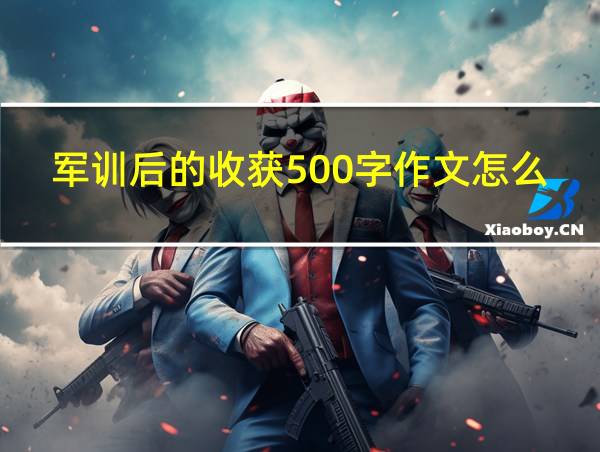 军训后的收获500字作文怎么写的相关图片