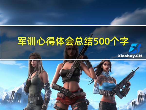 军训心得体会总结500个字的相关图片