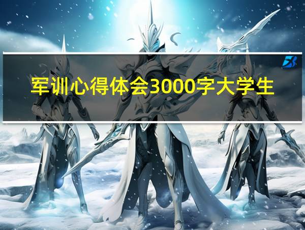 军训心得体会3000字大学生的相关图片