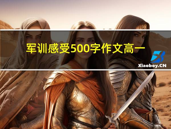 军训感受500字作文高一的相关图片