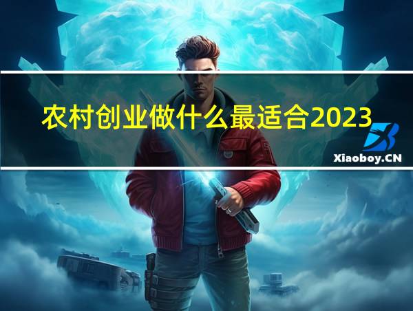 农村创业做什么最适合2023年的相关图片