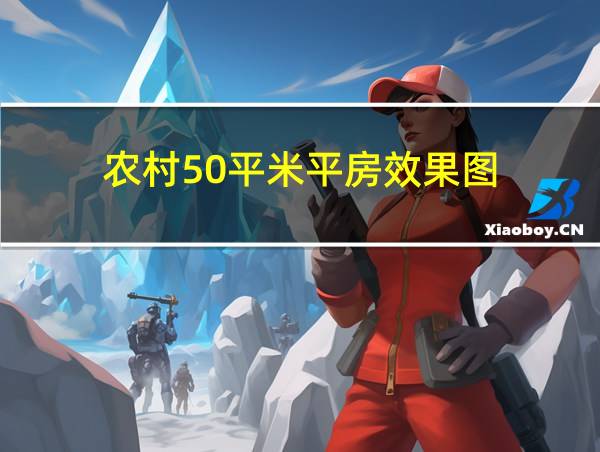 农村50平米平房效果图的相关图片