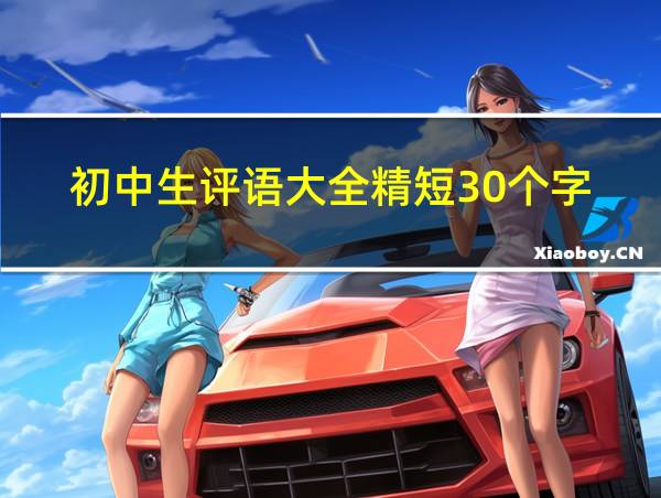 初中生评语大全精短30个字的相关图片