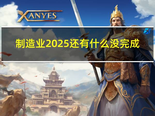 制造业2025还有什么没完成的相关图片