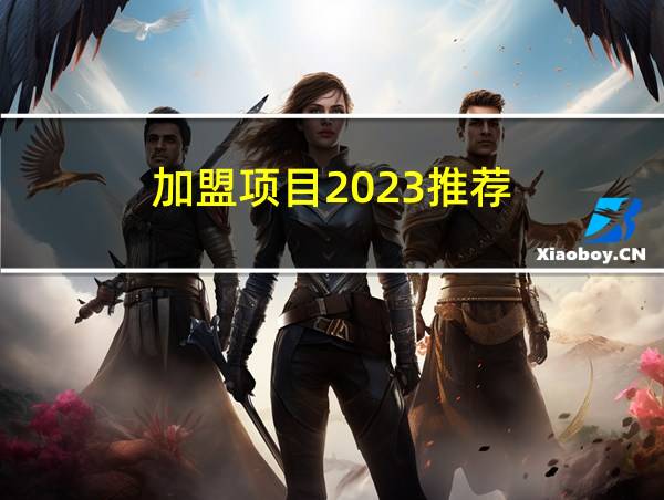 加盟项目2023推荐的相关图片