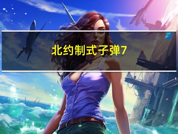 北约制式子弹7.62的相关图片