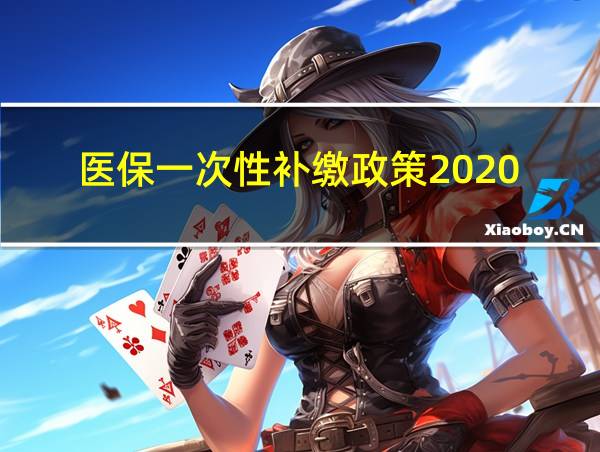 医保一次性补缴政策2020的相关图片