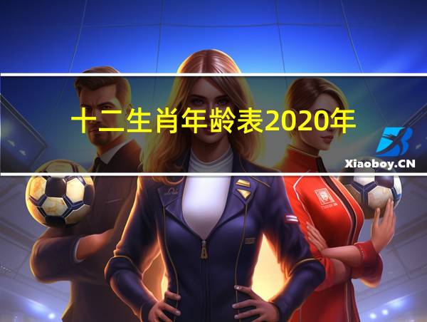 十二生肖年龄表2020年的相关图片