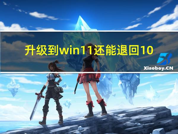 升级到win11还能退回10吗的相关图片